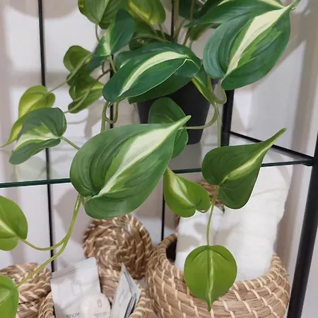 Moonlight River With Balcony Old Town Apartment Bucharest