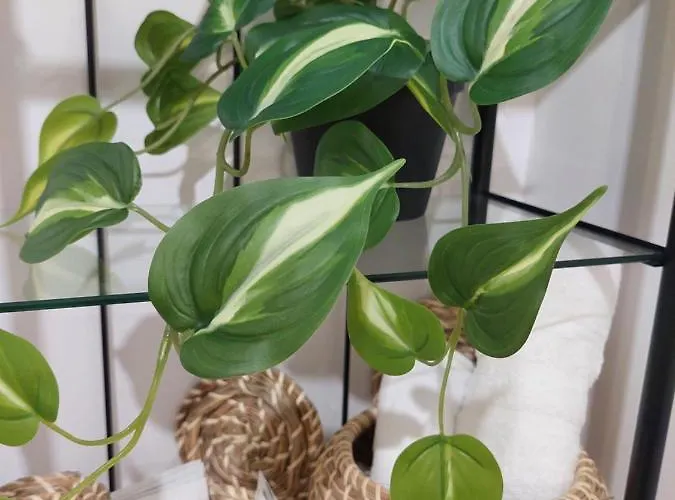 Moonlight River With Balcony Old Town Apartamento Bucareste