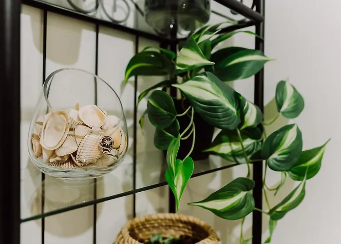 Moonlight River With Balcony Old Town Bucareste