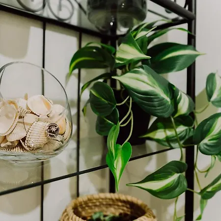 Moonlight River With Balcony Old Town Bucureşti