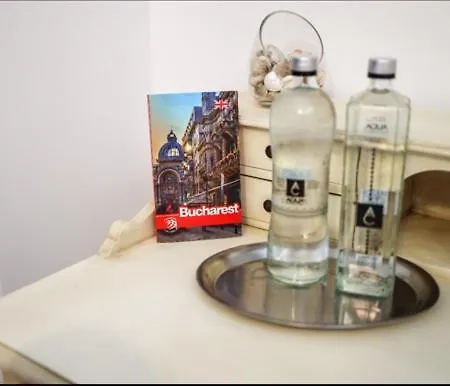 Moonlight River With Balcony Old Town Appartamento Bucarest